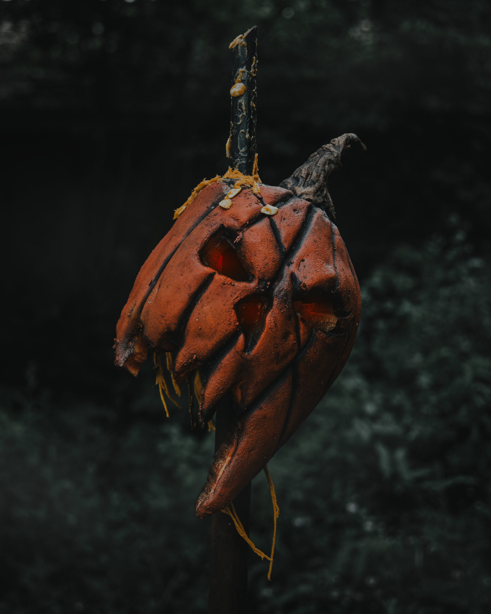 Gored Gourd (2)